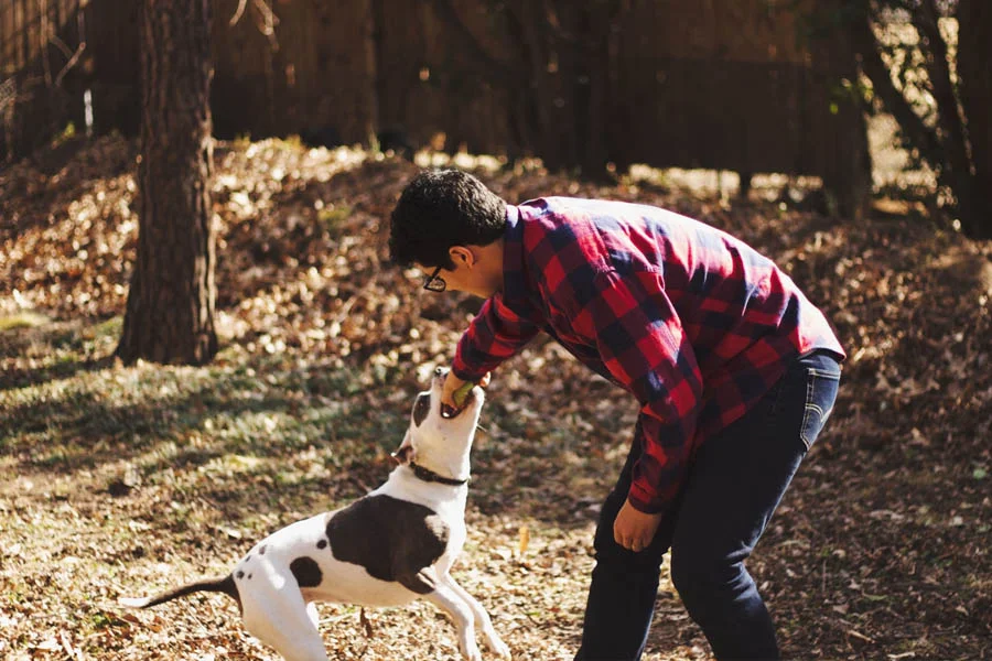 Portable Pet Water Bottle